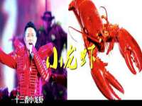 南京灰背鸟商贸有限公司