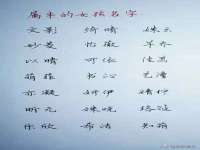 南京灰背鸟商贸有限公司