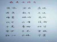 南京灰背鸟商贸有限公司