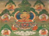 南京灰背鸟商贸有限公司