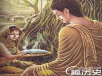 南京灰背鸟商贸有限公司