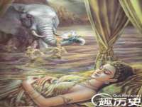 南京灰背鸟商贸有限公司