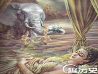 南京灰背鸟商贸有限公司