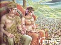 南京灰背鸟商贸有限公司